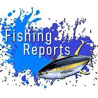 Our Ocean City Fishing Reports on Facebook Fishing Reports Logo
